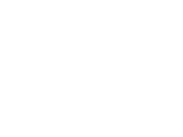 REPSSI